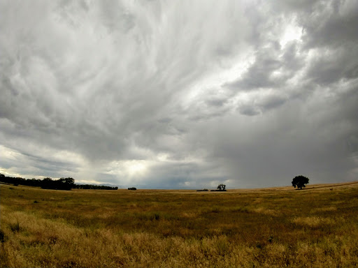 Wildlife Refuge «Rocky Mountain Arsenal National Wildlife Refuge», reviews and photos