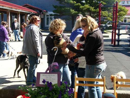 Island to Island Veterinary Clinic image