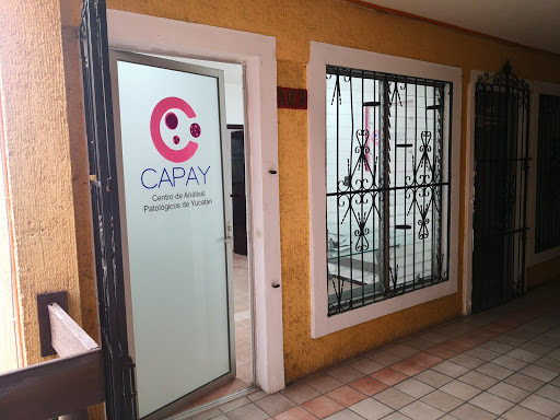 Centro de Análisis Patológicos de Yucatán