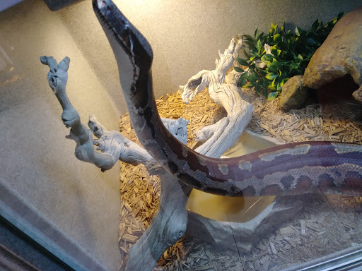 Pet Store «Pets & Such», reviews and photos, 3680 3500 S, West Valley City, UT 84120, USA