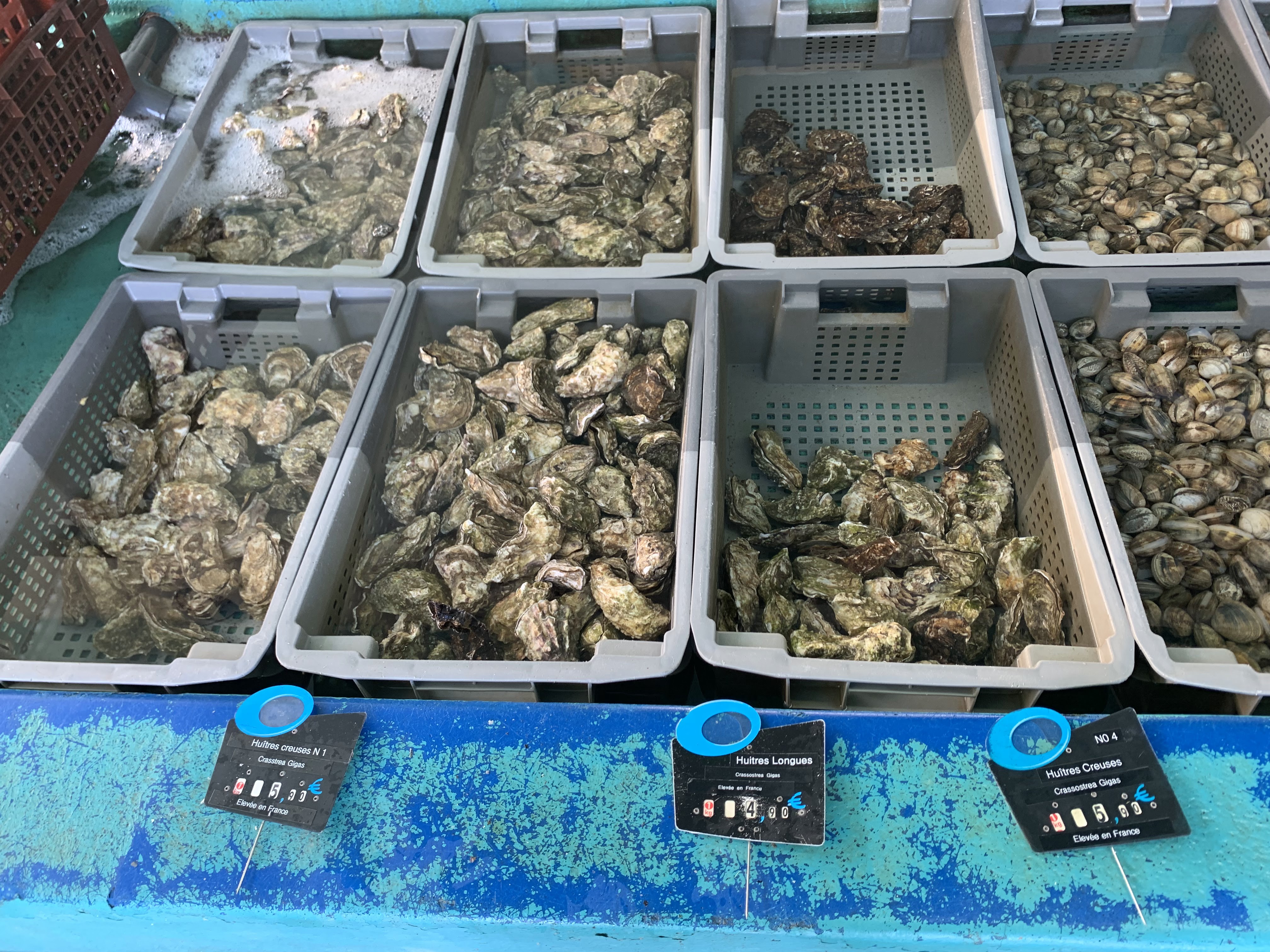 Photo n° 4 de l'avis de 2JK.G fait le 15/09/2019 à 09:36