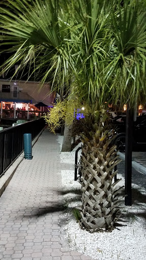 Park «Edgewater Park», reviews and photos, 51 Main St, Dunedin, FL 34698, USA