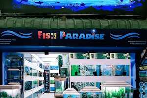 Fish Paradise image