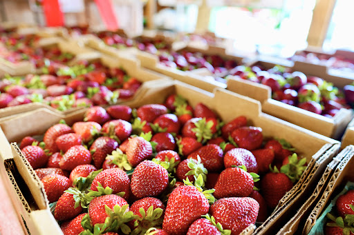 Farm «Jaemor Farms», reviews and photos, 5340 Cornelia Hwy, Alto, GA 30510, USA