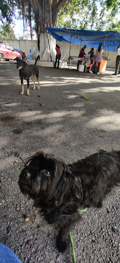 site_photo3