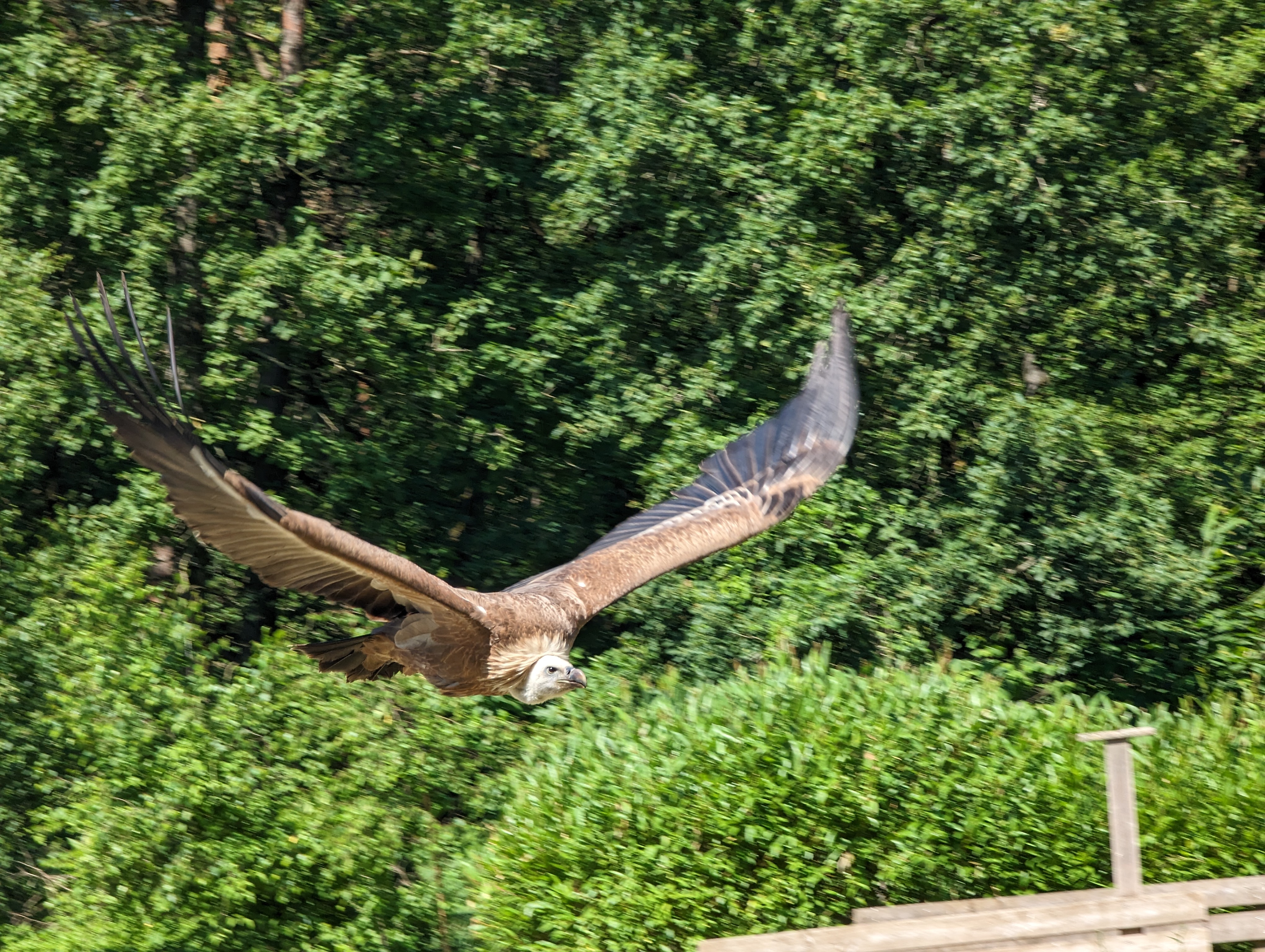 Photo n° 2 de l'avis de Quentin.a fait le 16/06/2023 à 09:29