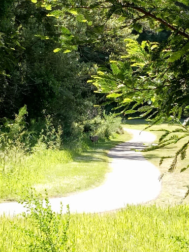 Golf Course «Mill Valley Golf Course», reviews and photos, 280 Buena Vista Ave, Mill Valley, CA 94941, USA