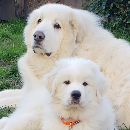 Pet Supply Store «Pet Food Express», reviews and photos, 838 Southampton Rd, Benicia, CA 94510, USA