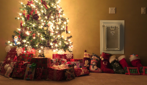 Pet Supply Store «Moore Pet Supplies», reviews and photos, 3170 Airport Dr, La Crosse, WI 54603, USA