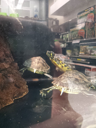 Pet Supply Store «Petco Animal Supplies», reviews and photos, 3246 N John Young Pkwy, Kissimmee, FL 34741, USA