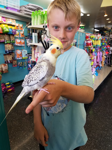 Pet Supply Store «City Pets & Ponds», reviews and photos, 4029 Mill St, Kansas City, MO 64111, USA