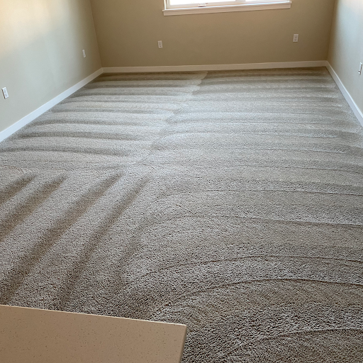 seattle carpet cleaning