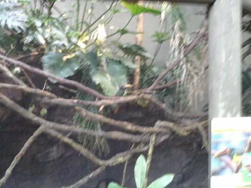 Gift Shop «Minnesota Zoo Gift Shop», reviews and photos, 13000 Zoo Blvd, Apple Valley, MN 55124, USA