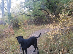 Memmen Ridge Open Space - photo 29