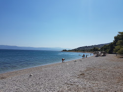 Foto de Thalassa beach área de comodidades