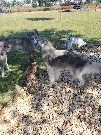 Park «Al Helms Dog Park», reviews and photos, 1022 Balboa Ave, Panama City, FL 32401, USA