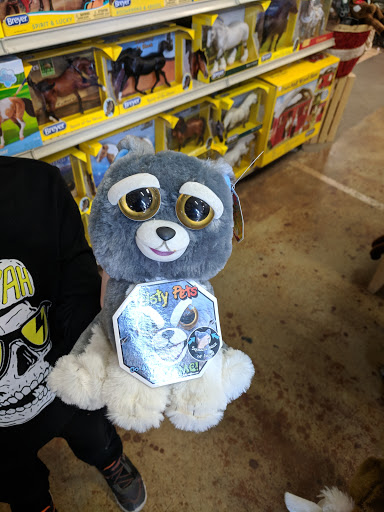 Pet Supply Store «Concord Feed Pet & Livestock Supplies», reviews and photos, 228 Hookston Rd, Pleasant Hill, CA 94523, USA