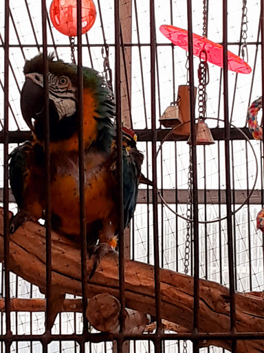 Florist «Meier Flowerland & Greenhouse», reviews and photos, 8087 Grand River Ave, Brighton, MI 48114, USA