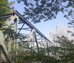 Heisinger Ruhraue Nature Reserve photo