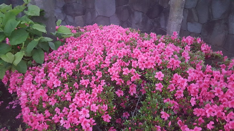 練馬区立 北八風の子公園