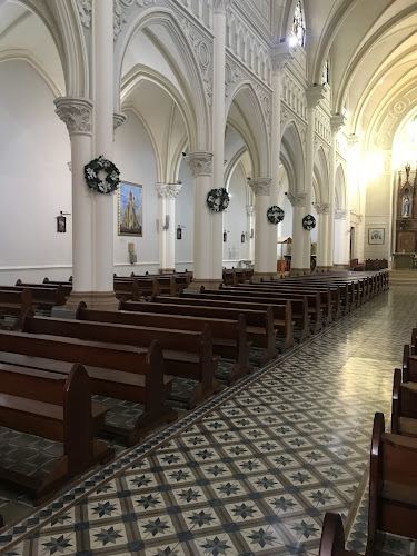 Opiniones de Catedral de Antofagasta en Antofagasta - Iglesia