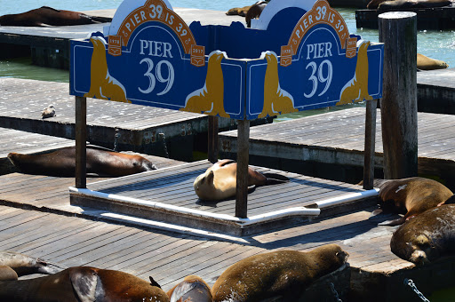 Shopping Mall «North Point Centre», reviews and photos, 320 Bay St, San Francisco, CA 94133, USA