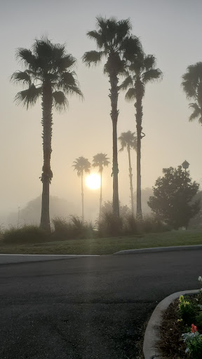 Country Club «Sugar Mill Country Club», reviews and photos, 100 Club House Cir, New Smyrna Beach, FL 32168, USA