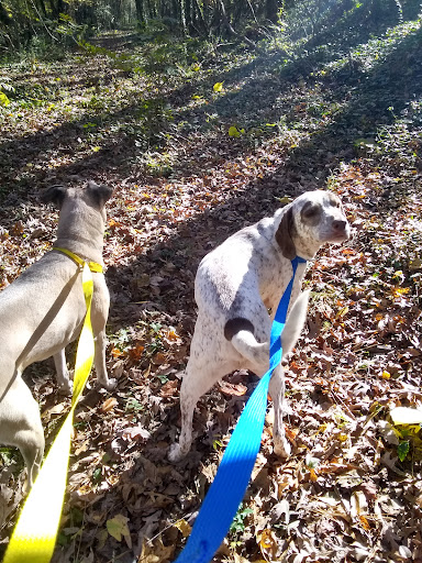 Travelers Dog Boarding