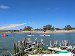 Foto von Spiaggia della Salicornia di Lido di Dante mit geräumige küstenlinie