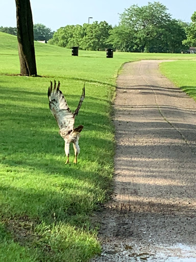 Golf Course «Phillips Park Golf Course», reviews and photos, 1001 Hill Ave, Aurora, IL 60510, USA