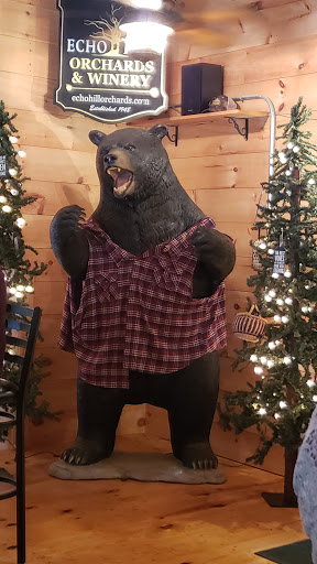 Winery «Echo Hill Orchards & Winery», reviews and photos, 101 Wilbraham Rd, Monson, MA 01057, USA