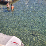 Photo n°2 de l'avis de Zaira.o fait le 09/08/2022 à 10:57 sur le  Hotel Restaurant La Caletta à Porto Santo Stefano