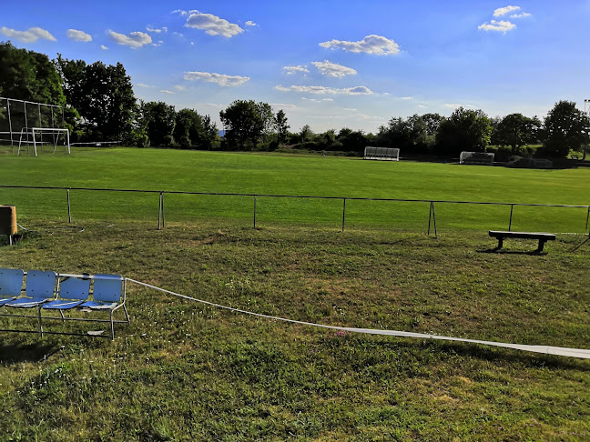 Csolnoki Szabadidő Sportegyesület - Csolnok