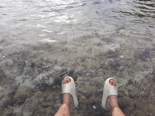 Top 20 cửa hàng akemi Huyện Lý Sơn Quảng Ngãi 2022