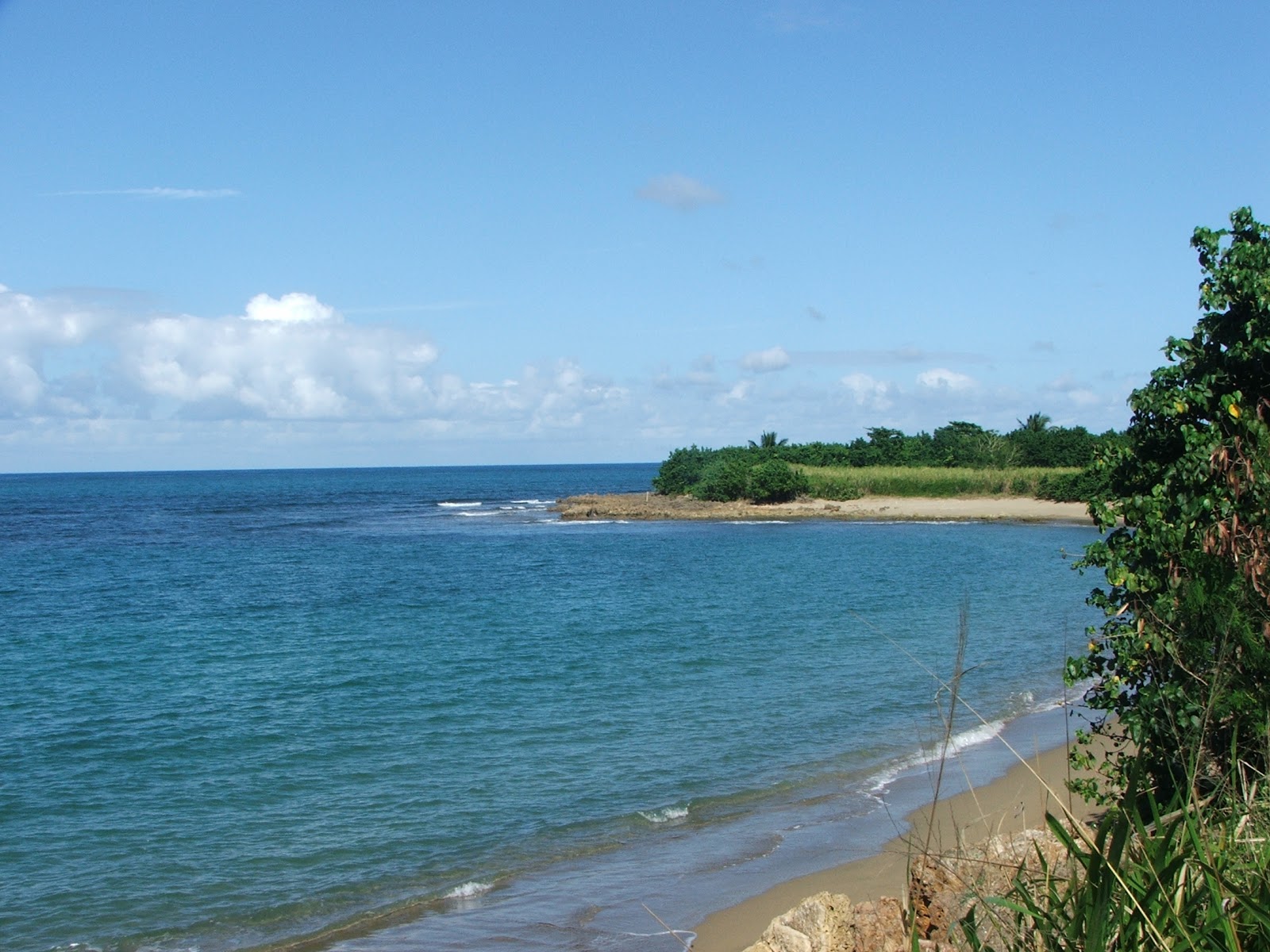 Fotografija Playa Corozo z svetel pesek površino