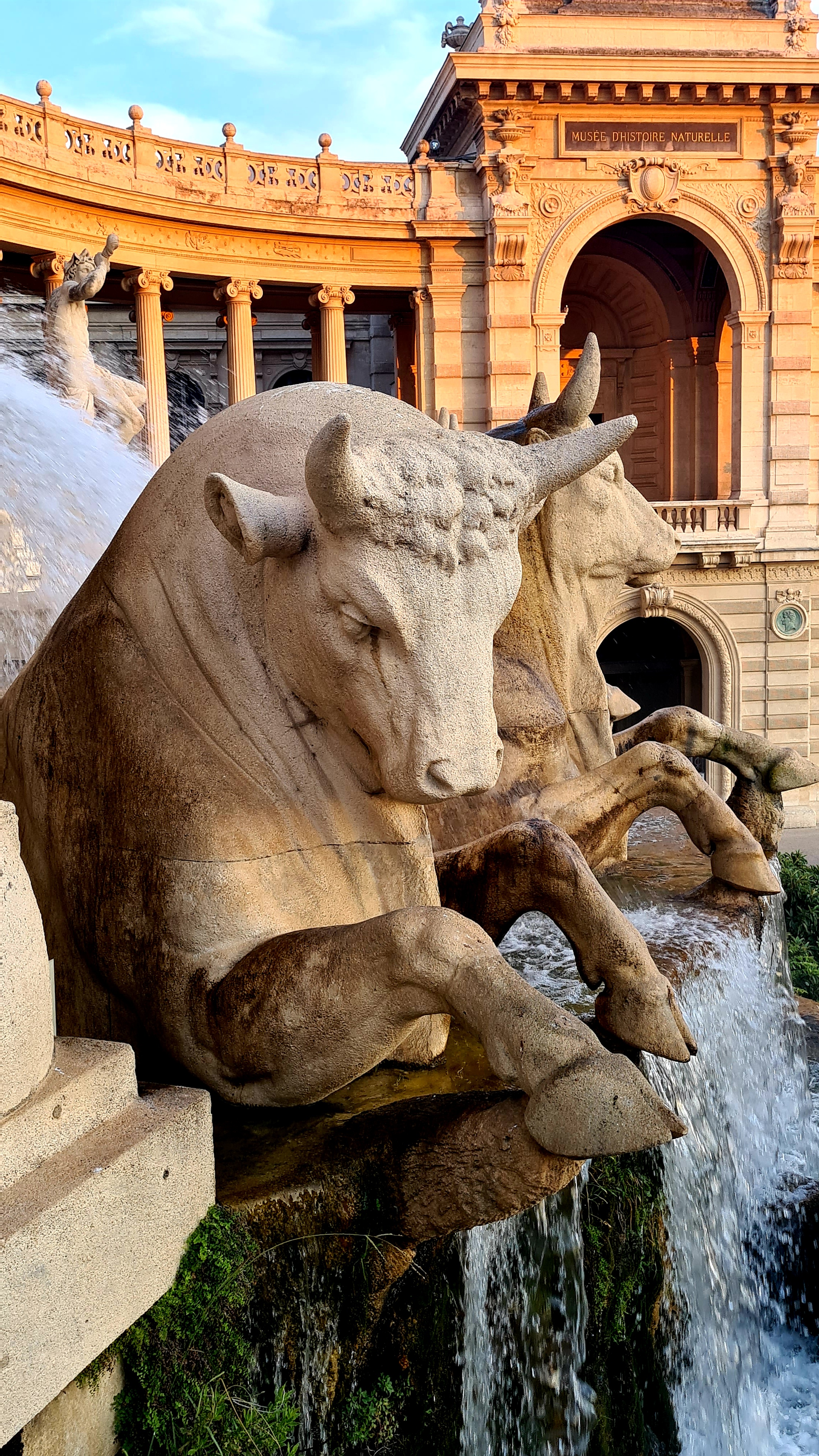 Photo n° 18 de l'avis de Angy.P fait le 26/08/2021 à 11:10