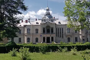 Parcul Muzeului "Dimitrie Ghika" Comănești image