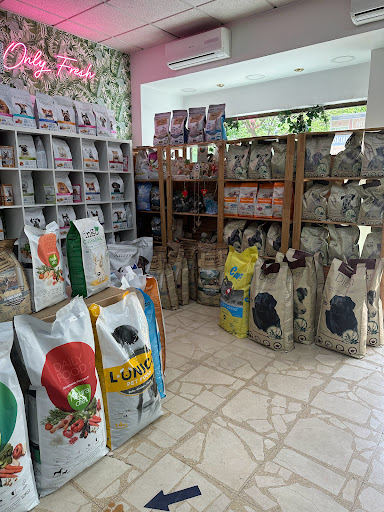 Jalupa - Torrejón de Ardoz