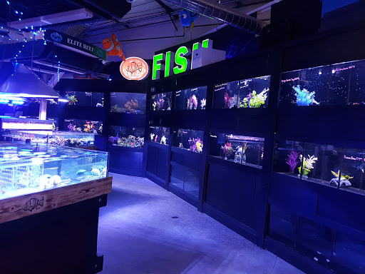 Tropical Fish Store «Elite Reef», reviews and photos, 8410 Wadsworth Blvd F, Arvada, CO 80003, USA