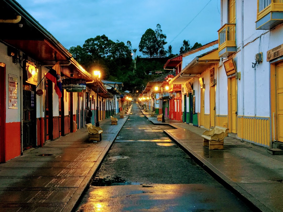 RESERVA GUADALAJARA - Cocora Valley