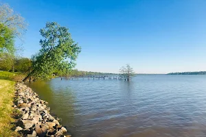 Lake Chicot image
