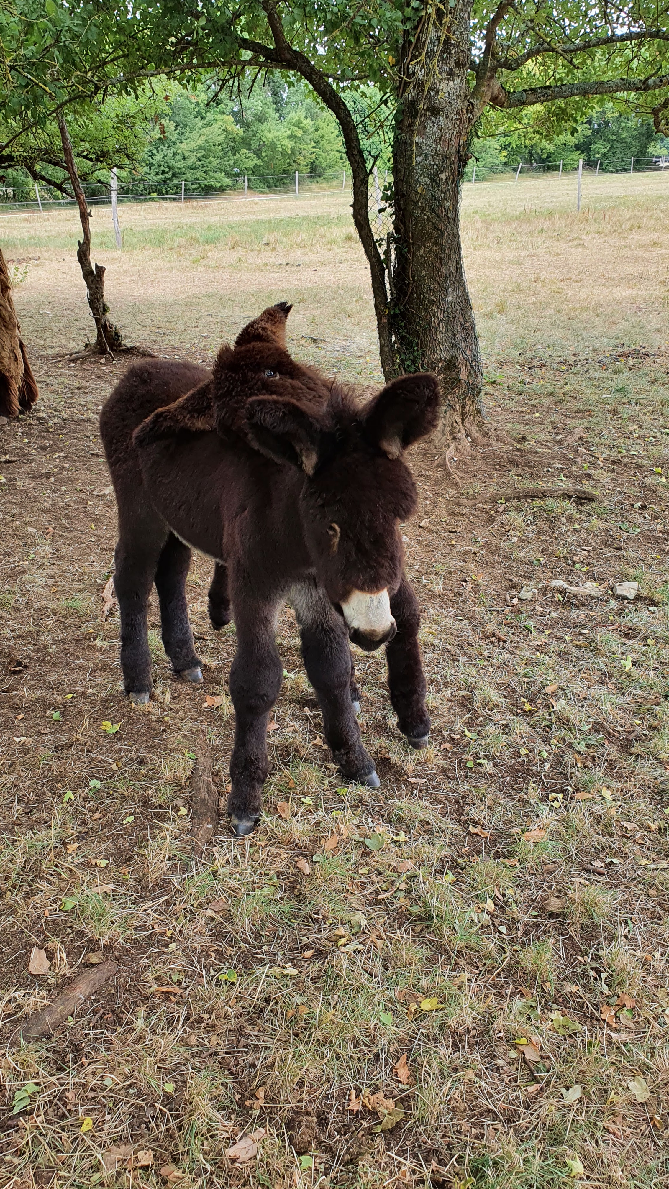 Photo n° 3 de l'avis de Fabien.u fait le 16/08/2022 à 06:29