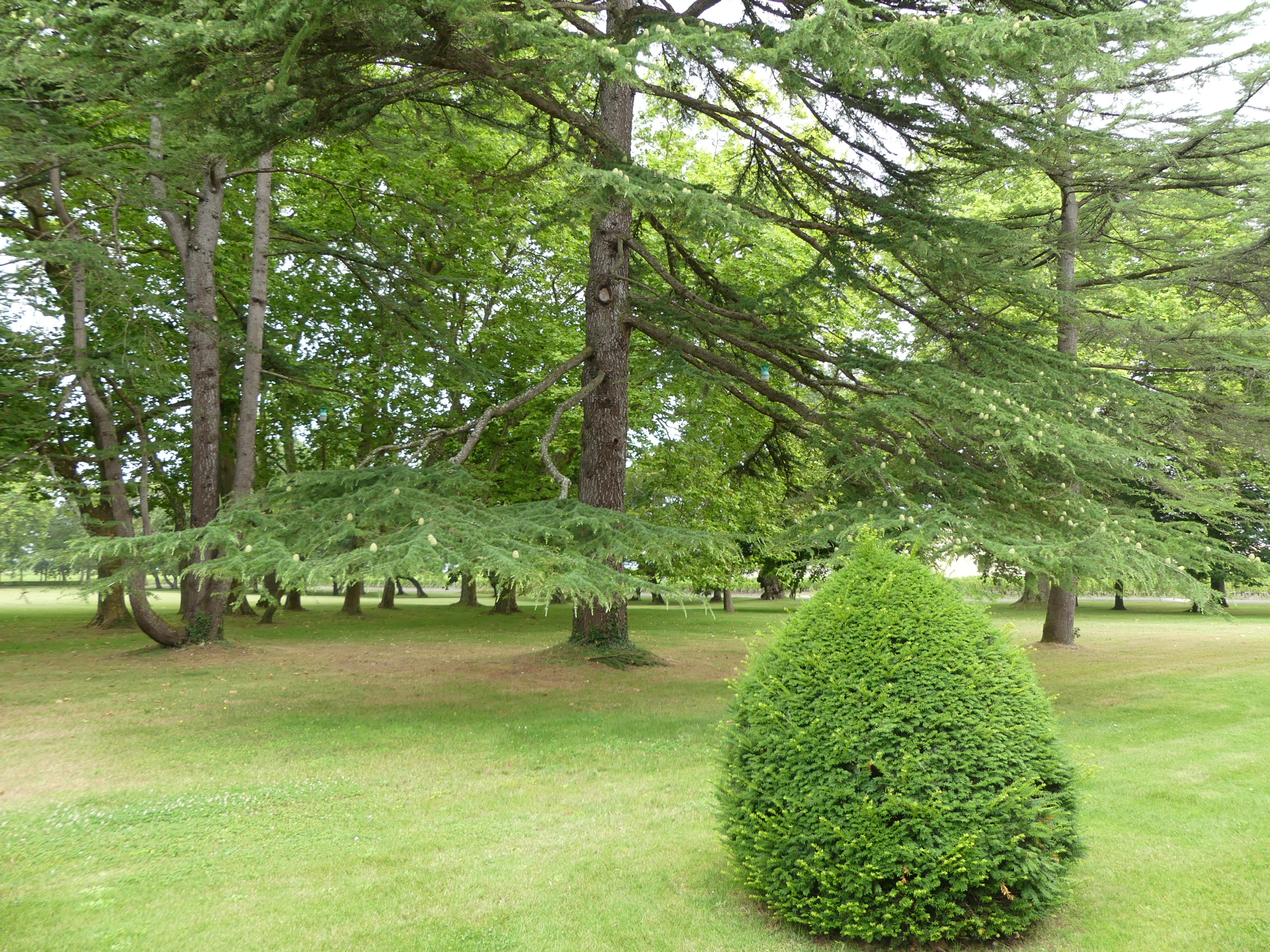 Photo n° 13 de l'avis de Roland.a fait le 17/07/2020 à 19:13