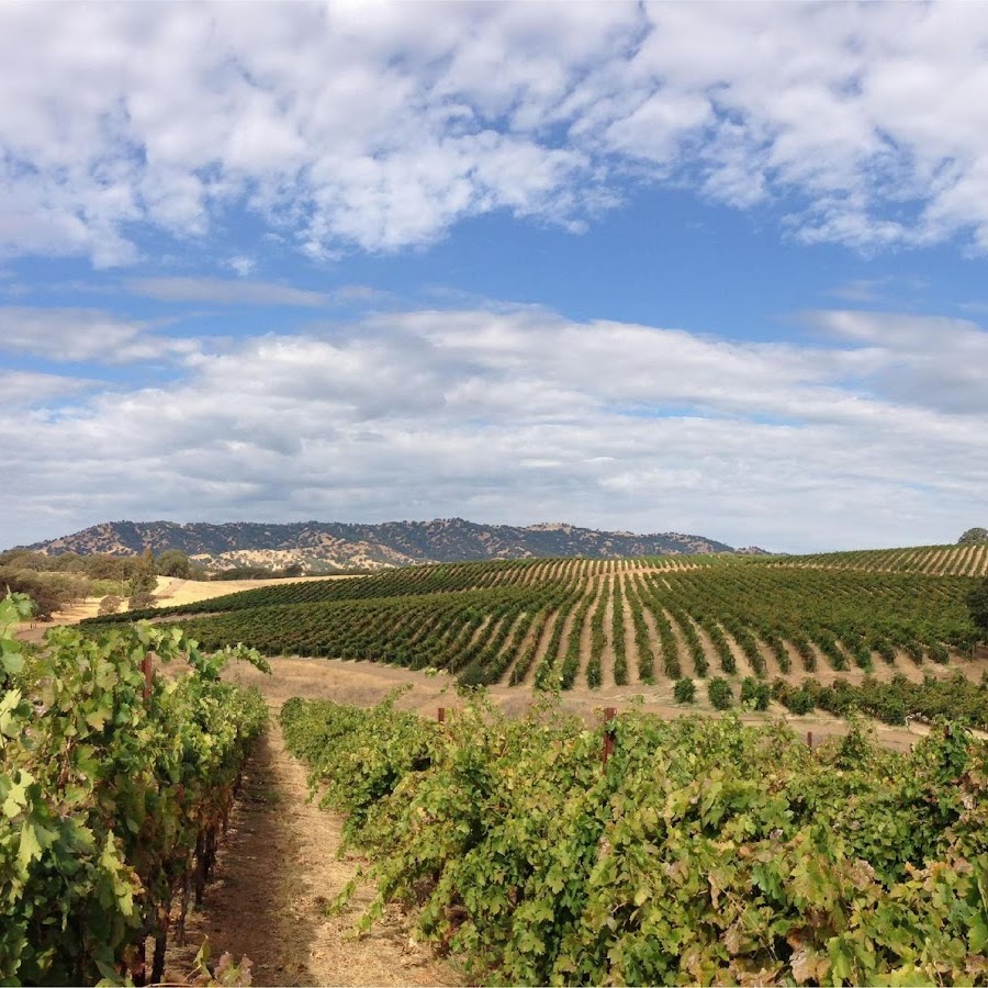 Berryessa Gap Vineyards Estate Winery