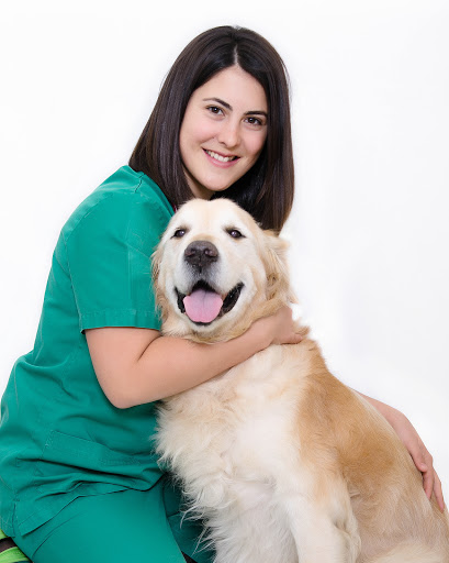 Hospital Veterinário do Restelo