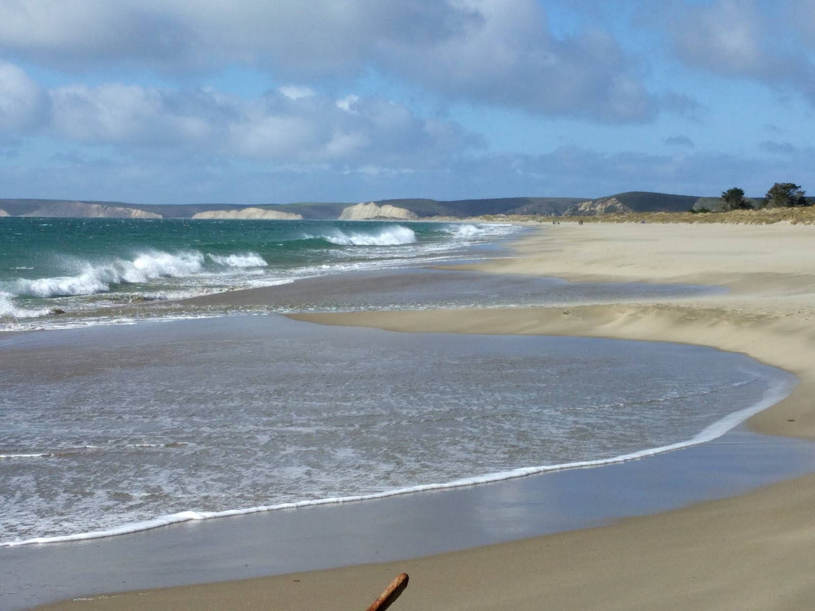 Foto di Limantour Beach sorretto da scogliere