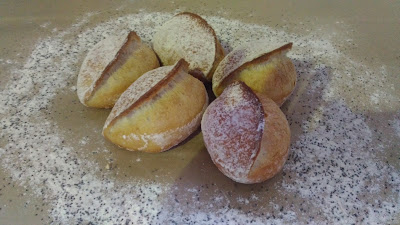 PANYDIS à Puget-sur-Argens