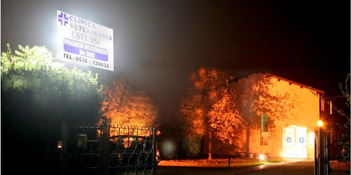 Pensioni per cani e dog hotel a Clinica Veterinaria Estense