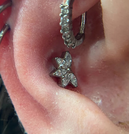 Explore tattoo ideas for pets, creative tattoo ideas in Orange, available at Symbiosis Body Piercing