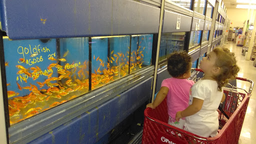 Pet Store «Petsway», reviews and photos, 1717 W Kearney St, Springfield, MO 65803, USA